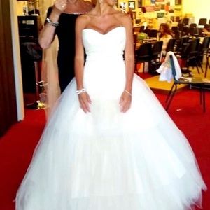 Vera Wang dress and 25 foot veil